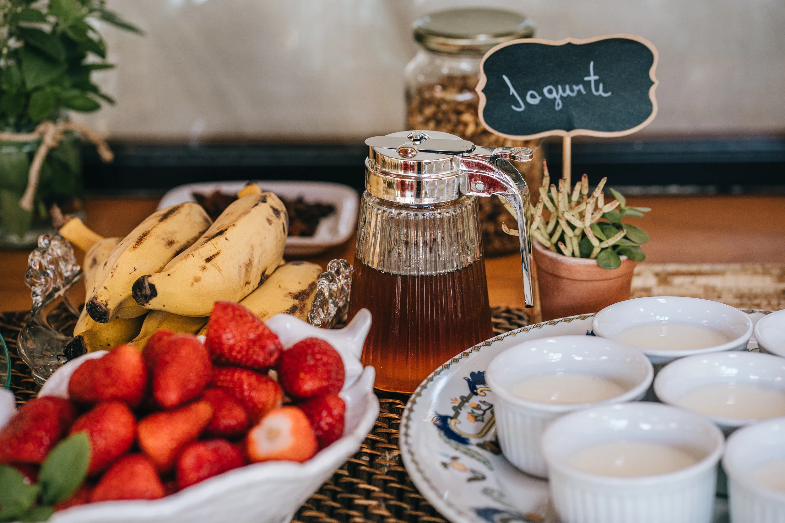 Jardim florido ao redor da piscina